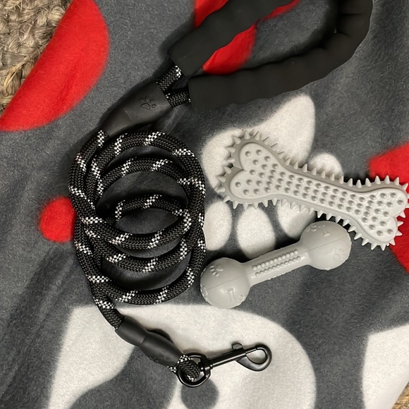 Brand New ๐๐พโฅ๏ธ Neon Yellow Pet Pack w/Fleece Blanket, Leash & Chew Toys - Picture 5 of 5